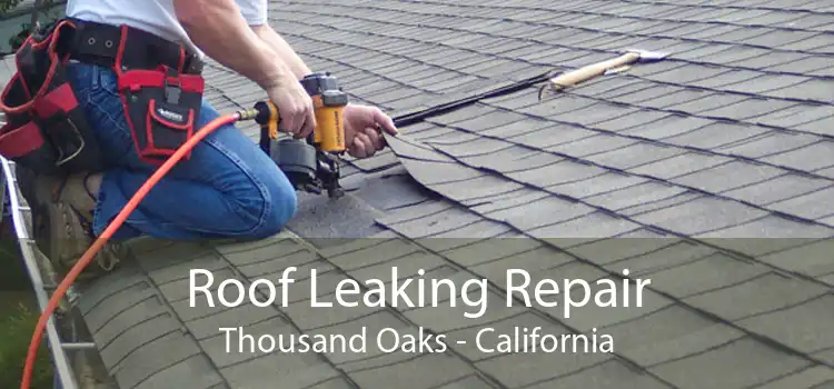 Roof Leaking Repair Thousand Oaks - California