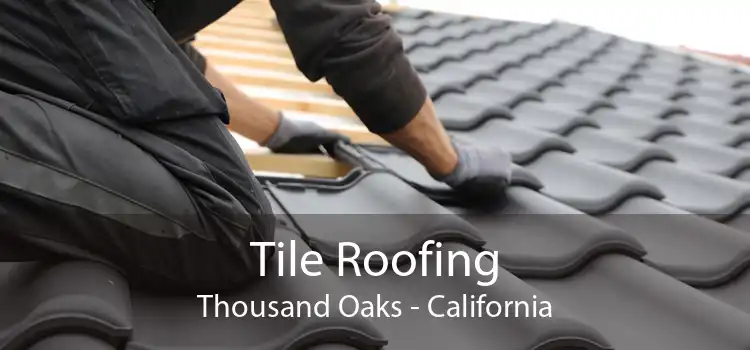 Tile Roofing Thousand Oaks - California